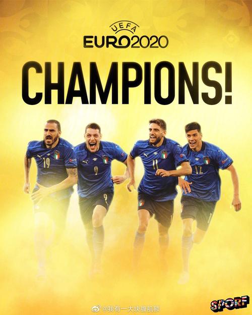 意大利进入欧洲杯纪录（意大利进入欧洲杯纪录片名单）