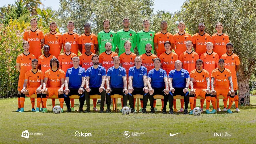 荷兰阵容欧洲杯2020（荷兰队2020欧洲杯阵容）